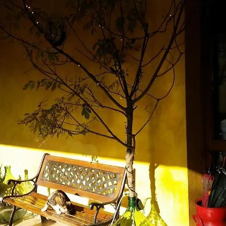 La Cascina Di Alice Bed & Breakfast *